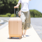 アートリップス パンスタイル Mサイズ スーツケース