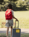 SIGNATURE BRICK 2X2 BACKPACK
