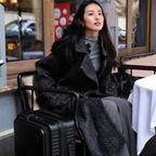 エコーラック セレストラ 機内持ち込み スーツケース