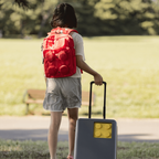 レゴ アーバン 機内持ち込み スーツケース