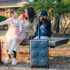 レゴ シグネチャー ブロック 機内持ち込み スーツケース