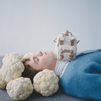 ドーナツ マカロン タイニー オーガニックコットン 小型 軽量 ショルダーバッグ 1L