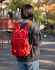 SIGNATURE BRICK 2X2 BACKPACK