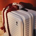 エコーラック セレストラ Mサイズ スーツケース