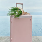 エコーラック ダイナスティ Lサイズ 大型スーツケース