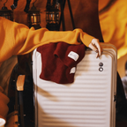 エコーラック セレストラ Mサイズ スーツケース