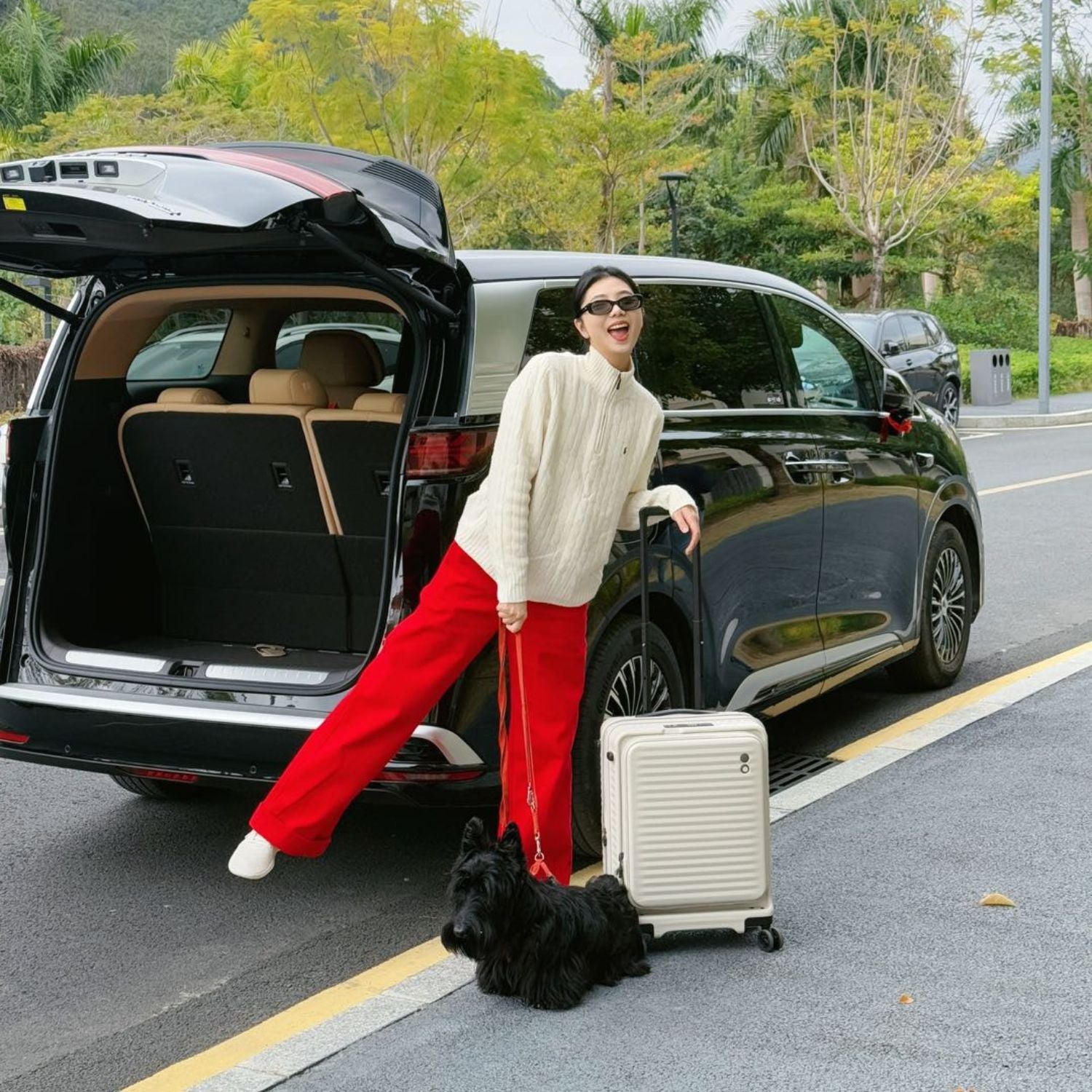 エコーラック セレストラ 機内持ち込み スーツケース