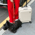 エコーラック セレストラ 機内持ち込み スーツケース