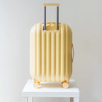 アートリップス パンスタイル Mサイズ スーツケース